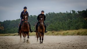 Galopp am Strand