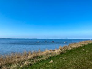 Ummanz Deich Kitesurfen