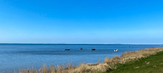 Ummanz Deich Kitesurfen