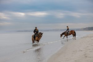 Strand Reiten Pferd